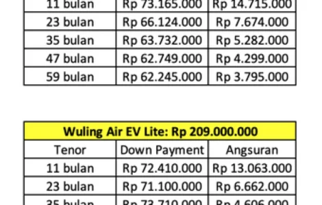 kredit mobil listrik